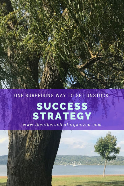 One Surprising Success Strategy to Get You Unstuck