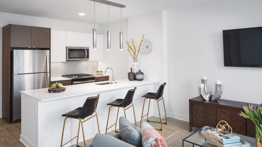 South Loop Apartment Building Highlight  The Paragon