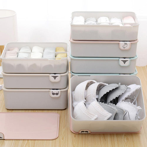 Socks And Underwear Storing Division Box